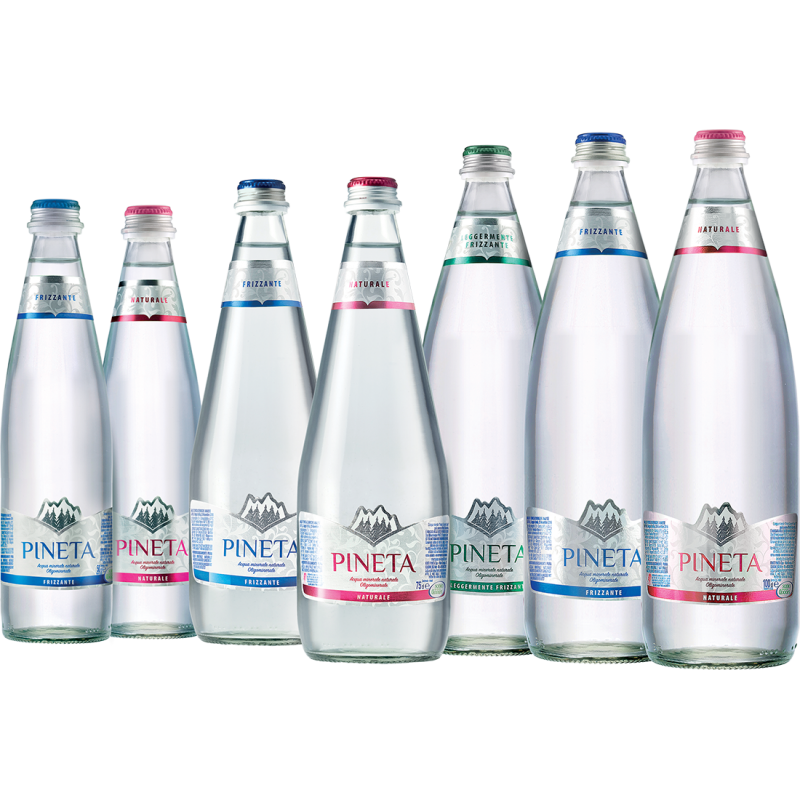 ACQUA PINETA 1 LITRO VETRO